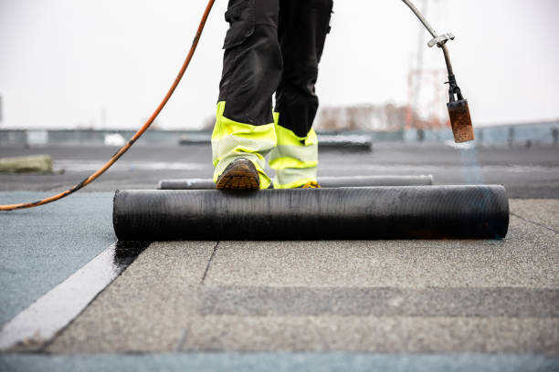 Best Roof Moss and Algae Removal  in Lake Carmel, NY